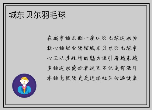 城东贝尔羽毛球
