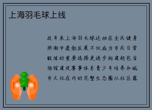 上海羽毛球上线