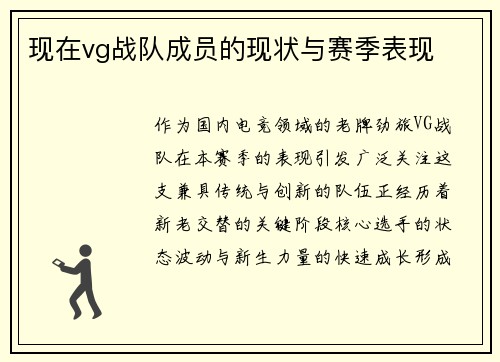 现在vg战队成员的现状与赛季表现