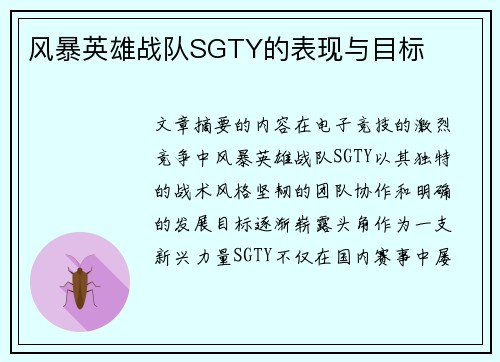 风暴英雄战队SGTY的表现与目标