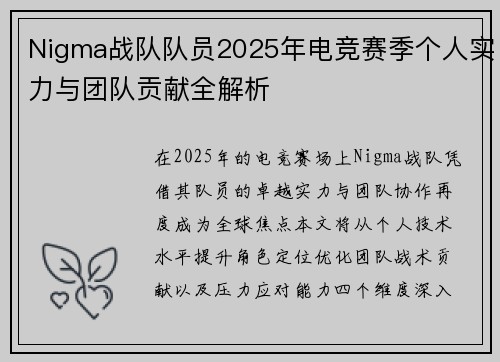 Nigma战队队员2025年电竞赛季个人实力与团队贡献全解析