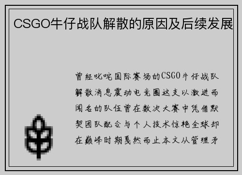 CSGO牛仔战队解散的原因及后续发展